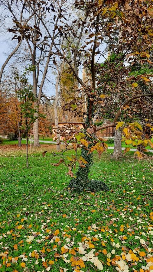 Apartman Mila, Banja Koviljaca Banja Koviljača Exterior foto